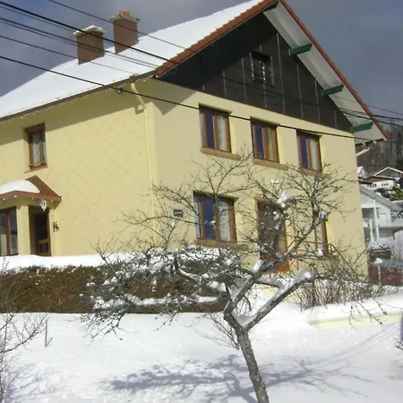 Amonidee Proche Du De * Gérardmer